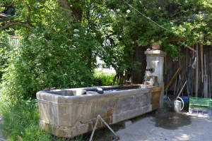 Beautiful water trough from the original farmhouse (1800s?) that burnt down in the '90s